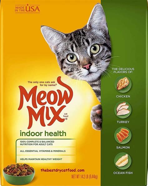 top rated dry cat food for indoor cats